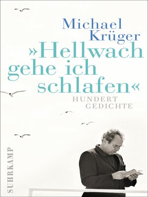 cover image of Hellwach gehe ich schlafen